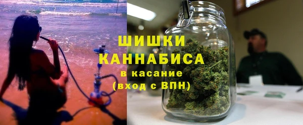 твердый Арсеньев