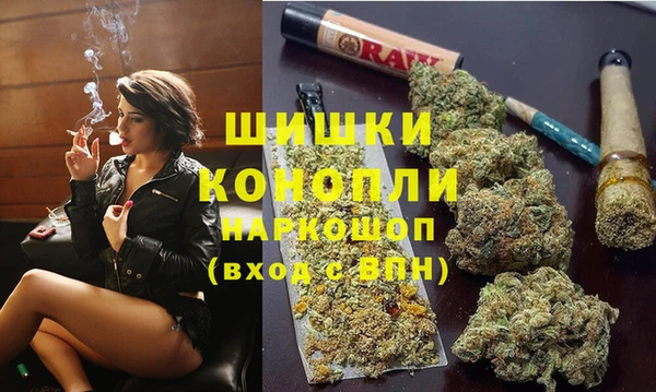 твердый Арсеньев